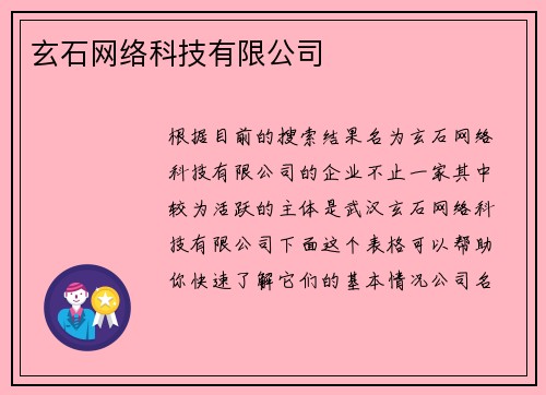 玄石网络科技有限公司