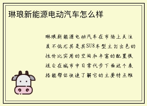 琳琅新能源电动汽车怎么样